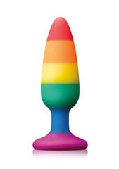 NS Novelties анальная пробка Pleasure Plug Rainbow Medium цена и информация | Анальные игрушки | kaup24.ee