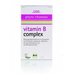 Looduslik B-grupi vitamiinide kompleks Vitamin B Complex, GSE Vertrieb Phyto Vitamins hind ja info | Vitamiinid, toidulisandid, immuunsuse preparaadid | kaup24.ee