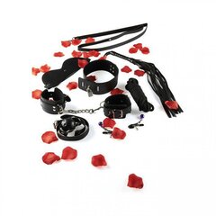 BDSM komplekt ToyJoy hind ja info | Sekslelude komplektid | kaup24.ee