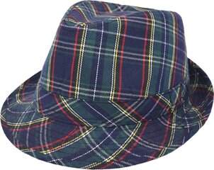 Suvine Trilby Tartan Hat-Sinine цена и информация | Мужские шарфы, шапки, перчатки | kaup24.ee