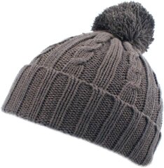 Шапка бини цена и информация | Мужские шарфы, шапки, перчатки | kaup24.ee