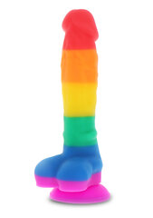 Toy Joy peenise imitaator Rainbow Lover, 18 cm hind ja info | Dildod | kaup24.ee