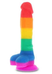 Toy Joy peenise imitaator Rainbow Lover, 21 cm цена и информация | Фаллоимитаторы | kaup24.ee