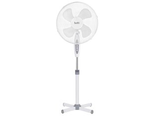 Eraldiseisev ventilaator Sirocco Botti 40cm hind ja info | BOTTI Sanitaartehnika, remont, küte | kaup24.ee