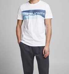 Мужская футболка Jack & Jones цена и информация | Мужские футболки | kaup24.ee