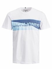 Мужская футболка Jack & Jones цена и информация | Мужские футболки | kaup24.ee