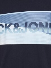 Meeste T-särk Jack & Jones hind ja info | Meeste T-särgid | kaup24.ee
