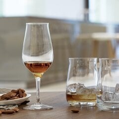 Spiegelau Viskiklaas Whisky Snifter Premium, 2 tk цена и информация | Стаканы, фужеры, кувшины | kaup24.ee