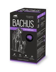 Кормовая добавка Bachus Calm&Brave, 60 табл. цена и информация | Пищевые добавки и анти-паразитные товары | kaup24.ee