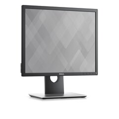 Dell P1917S, 19" цена и информация | Мониторы | kaup24.ee