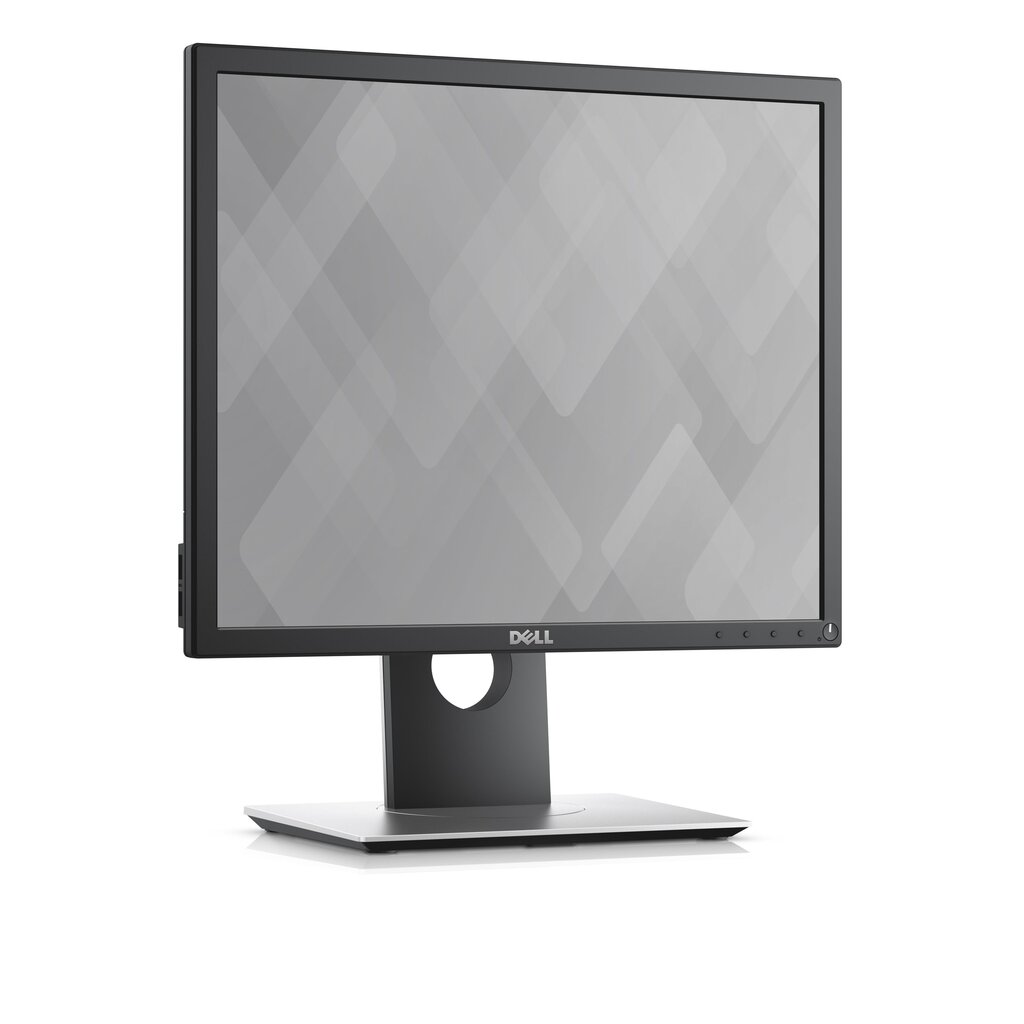 Dell P1917S hind ja info | Monitorid | kaup24.ee