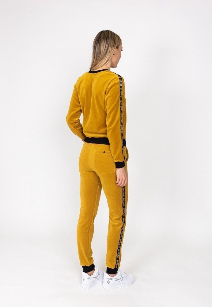 Naiste samet dressipüksid disainpaelaga, SNP61021 Kollane hind ja info | Naiste püksid | kaup24.ee