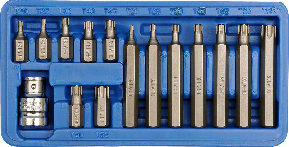 Otsikute komplekt TORX CrV Vorel, 15 tk цена и информация | Käsitööriistad | kaup24.ee