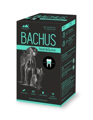 Добавка для корма Bachus Teeth&Gums, 60 табл. цена и информация | Пищевые добавки и анти-паразитные товары | kaup24.ee