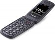 Panasonic KX-TU446EXG Gray hind ja info | Telefonid | kaup24.ee