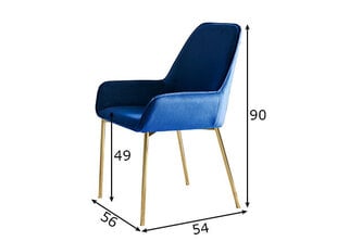 Söögitoolide komplekt, 2 tk, sinine hind ja info | Söögilaua toolid, köögitoolid | kaup24.ee