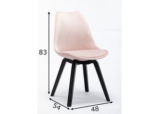 Söögitoolide komplekt Sit, 4 tk, roosa hind ja info | Söögilaua toolid, köögitoolid | kaup24.ee