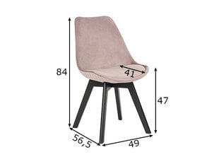 Söögitoolid (2tk) hind ja info | Söögitoolid, baaritoolid | kaup24.ee