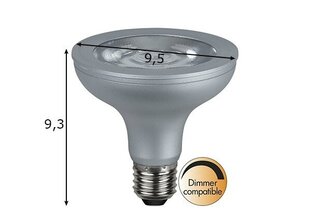 LED elektripirn E27, 10W hind ja info | Lambipirnid, lambid | kaup24.ee