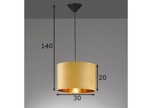 Fischer&Honsel подвесной светильник Aura цена и информация | Потолочный светильник, 38 x 38 x 24 см | kaup24.ee