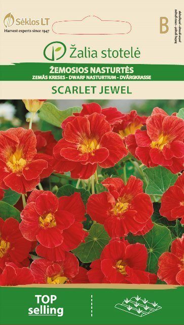 Madal Mungalill Scarlet Jewel hind ja info | Lilleseemned | kaup24.ee