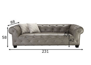 Diivan Sofa, hall hind ja info | Diivanid ja diivanvoodid | kaup24.ee