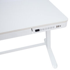 Письменный стол регулируемый с 1-мотором ERGO, белый цена и информация | Компьютерные, письменные столы | kaup24.ee