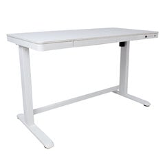 Письменный стол регулируемый с 1-мотором ERGO, белый цена и информация | Детские письменные столы | kaup24.ee