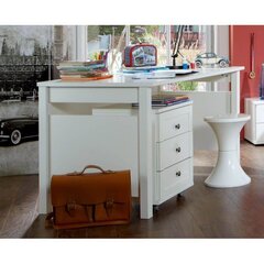 Письменный стол  FILOU 31846, белый цена и информация | Компьютерные, письменные столы | kaup24.ee