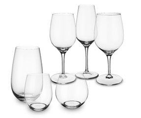 Villeroy & Boch Entree Valge veini pokaal 0,295l, 4 tk hind ja info | Klaasid, tassid ja kannud | kaup24.ee