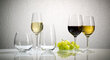 Villeroy & Boch Entree Valge veini pokaal 0,295l, 4 tk цена и информация | Klaasid, tassid ja kannud | kaup24.ee