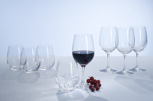 Villeroy & Boch Entree Punase veini pokaal 0,475l, 4 tk hind ja info | Klaasid, tassid ja kannud | kaup24.ee