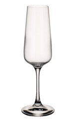 Бокал для игристого вина Villeroy & Boch, Ovid, 0,25 л, 4 шт. цена и информация | Стаканы, фужеры, кувшины | kaup24.ee