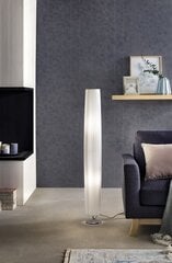 SalesFever põrandalamp Lamp цена и информация | Торшеры | kaup24.ee