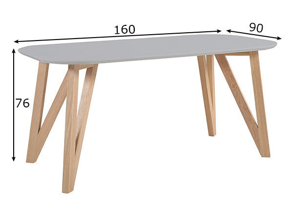 Söögilaud 160x90 cm hind ja info | Köögi- ja söögilauad | kaup24.ee