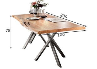 Oбеденный стол Tische 200x100 см, античный цена и информация | Кухонные и обеденные столы | kaup24.ee