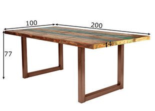 Oбеденный стол Tisch 100x200 см, антично-коричневый цена и информация | Кухонные и обеденные столы | kaup24.ee