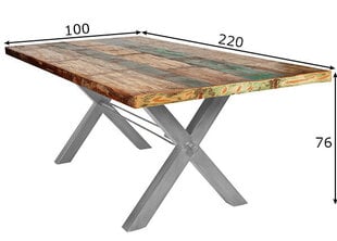 Oбеденный стол Tisch, 100x220 см, античный цена и информация | Кухонные и обеденные столы | kaup24.ee