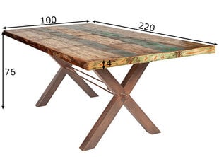 Oбеденный стол Tisch, 100x200 см, антично-коричневый цена и информация | Кухонные и обеденные столы | kaup24.ee