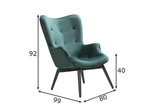 Кресло, зеленый цвет цена и информация | Кресла | kaup24.ee
