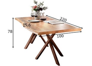 Oбеденный стол Tische 220x100 см, антично-коричневый цена и информация | Кухонные и обеденные столы | kaup24.ee