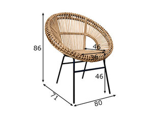 Стул Sit-Möbel 05342-01, коричневый цена и информация | Стулья для кухни и столовой | kaup24.ee