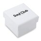 Soul Club kõrvarõngad 891108912 hind ja info | Kõrvarõngad | kaup24.ee
