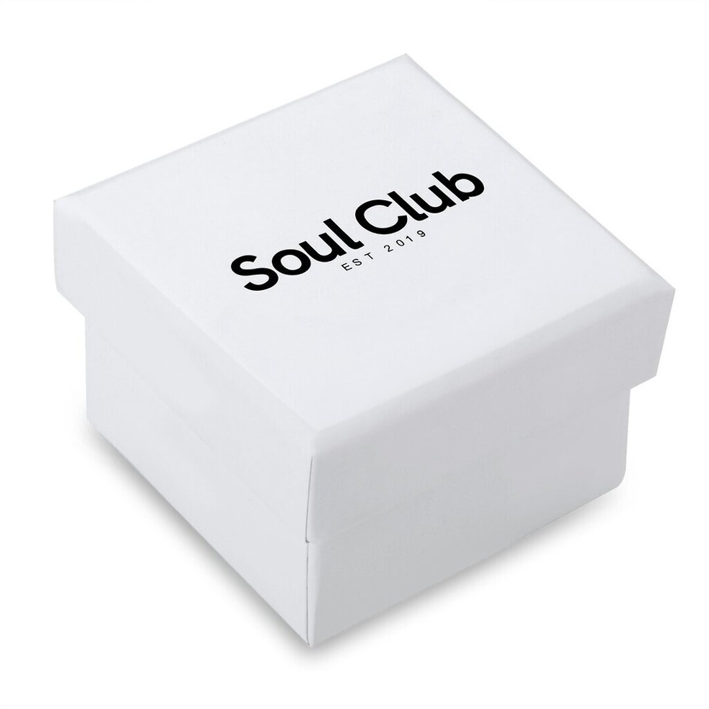 Soul Club kõrvarõngad 891108920 цена и информация | Kõrvarõngad | kaup24.ee