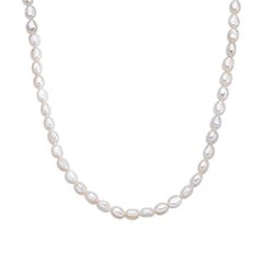 Valero Pearls kaelakee 40,0 cm basic chain 891108462 hind ja info | Kaelakeed | kaup24.ee