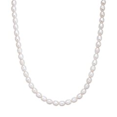 Valero Pearls kaelakee 40,0 cm basic chain 891108464 цена и информация | Украшения на шею | kaup24.ee