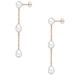 Сережки Valero Pearls 891108467 цена и информация | Серьги | kaup24.ee