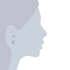 Tresor kõrvarõngad 891108506 hind ja info | Kõrvarõngad | kaup24.ee