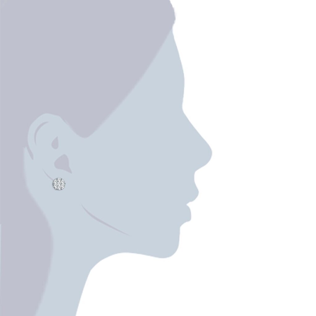 Tresor kõrvarõngad 891108516 hind ja info | Kõrvarõngad | kaup24.ee