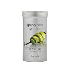 Greenland Kooriv kehasool laim-vanilje 400 g hind ja info | Kehakoorijad | kaup24.ee